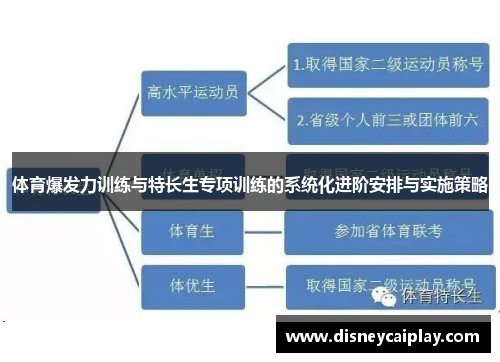 体育爆发力训练与特长生专项训练的系统化进阶安排与实施策略
